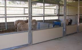 miniature horse barn