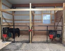 miniature horse barn